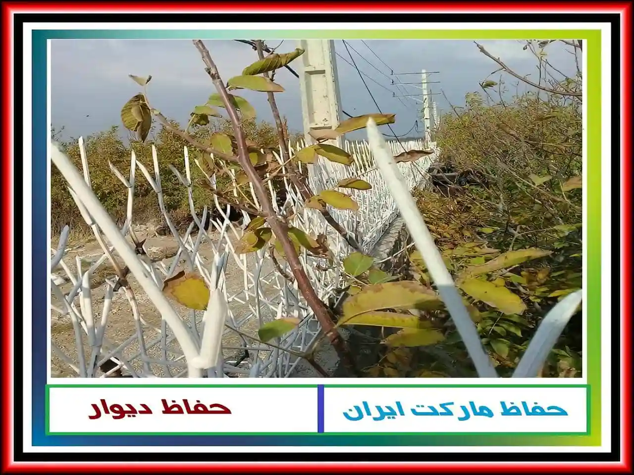 قیمت پنل حفاظ دیوار