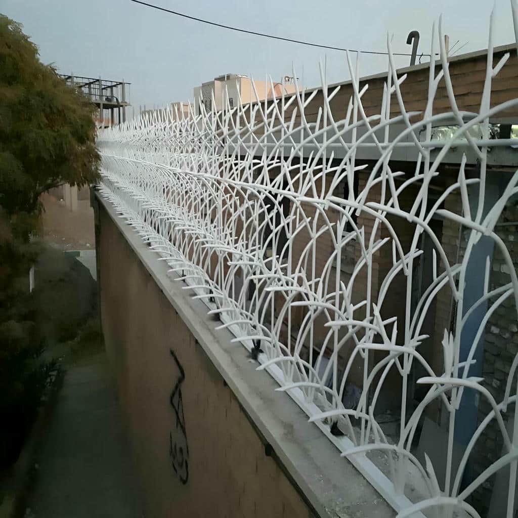 fence-wall-protection-deer-antler-spear-ajl راهنمای خرید حفاظ شاخ گوزنی – مدل ها، نصب و تولیدکننده