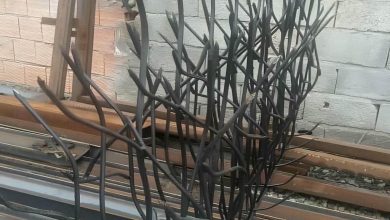 fence-wall-protection-deer-antler-spear-aci حفاظ شاخ گوزنی دیوار در استان خوزستان
