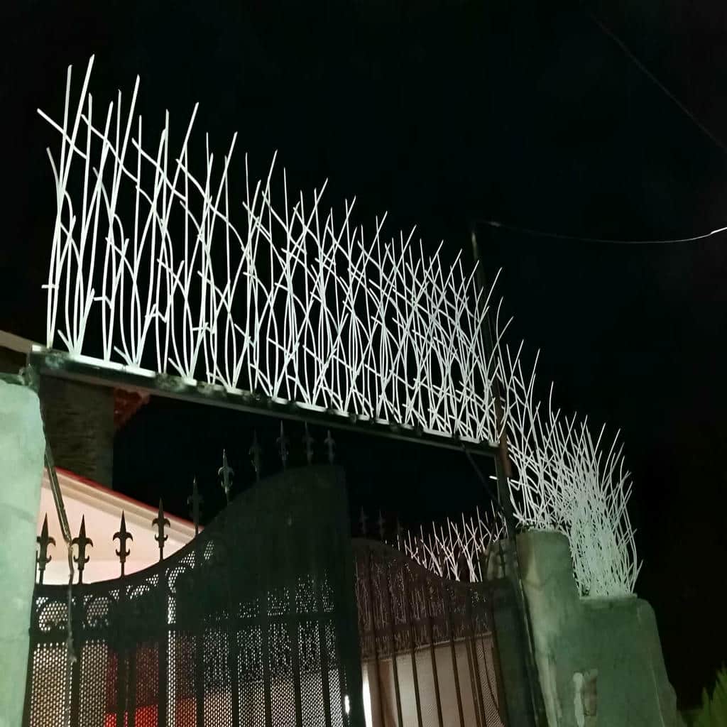 خرید حفاظ شاخ گوزنی دیوار تراکم بالا در بندر بوشهر