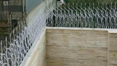 fence-wall-protection-deer-antler-spear-ada حفاظ شاخ گوزنی دیوار در اراک