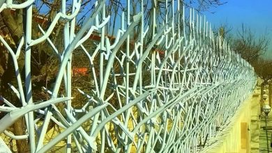fence-wall-protection-deer-antler-spear-adn حفاظ شاخ گوزنی دیوار در آبادان