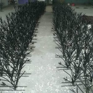 حفاظ شاخ گوزنی دیوار در قم
