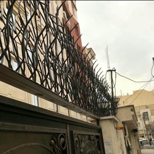 حفاظ شاخ گوزنی دیوار در فشم