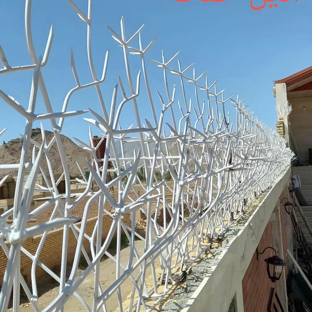 کارخانه حفاظ شاخ گوزنی دیوار سفارشی در تبریز