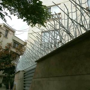 حفاظ شاخ گوزنی دیوار در ایرانشهر