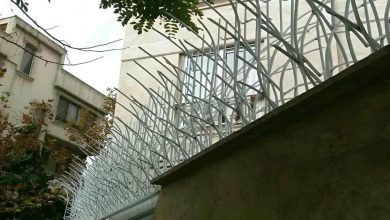 fence-wall-protection-deer-antler-spear-ake حفاظ شاخ گوزنی دیوار در ایرانشهر