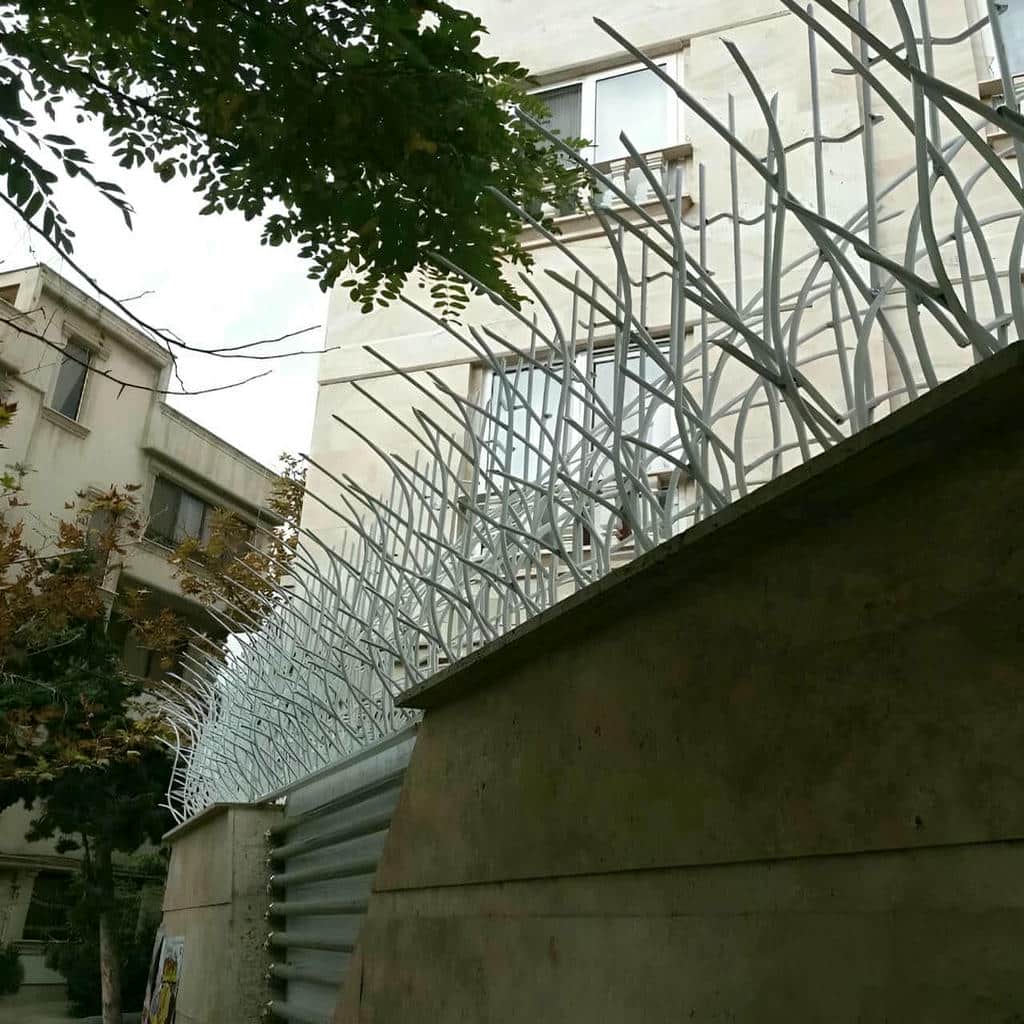 حفاظ شاخ گوزنی دیوار در ایرانشهر