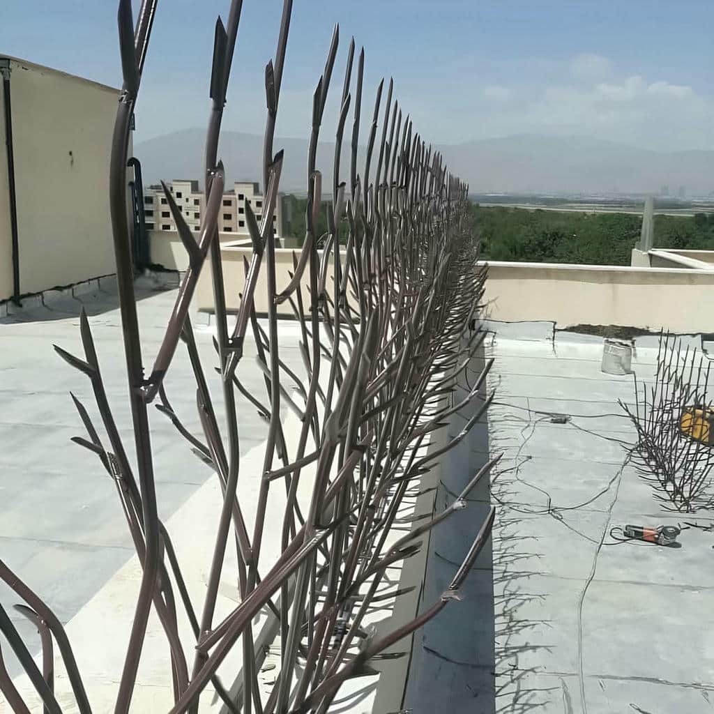 کارخانه حفاظ شاخ گوزنی دیوار سفارشی در رفسنجان
