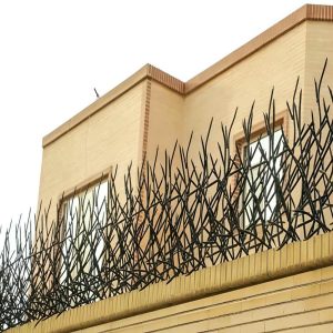 حفاظ شاخ گوزنی دیوار در سنندج
