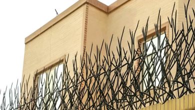 حفاظ شاخ گوزنی دیوار در سنندج