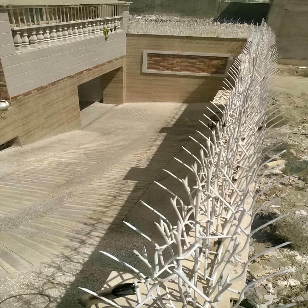 حفاظ شاخ گوزنی دیوار در سمنان