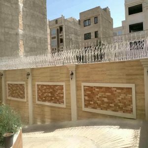 حفاظ شاخ گوزنی دیوار در طالقان