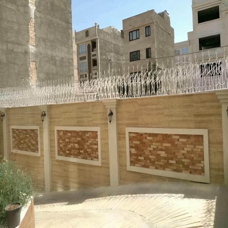 حفاظ شاخ گوزنی دیوار در طالقان