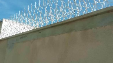 fence-wall-protection-deer-antler-spear-ann حفاظ شاخ گوزنی دیوار در کمال شهر