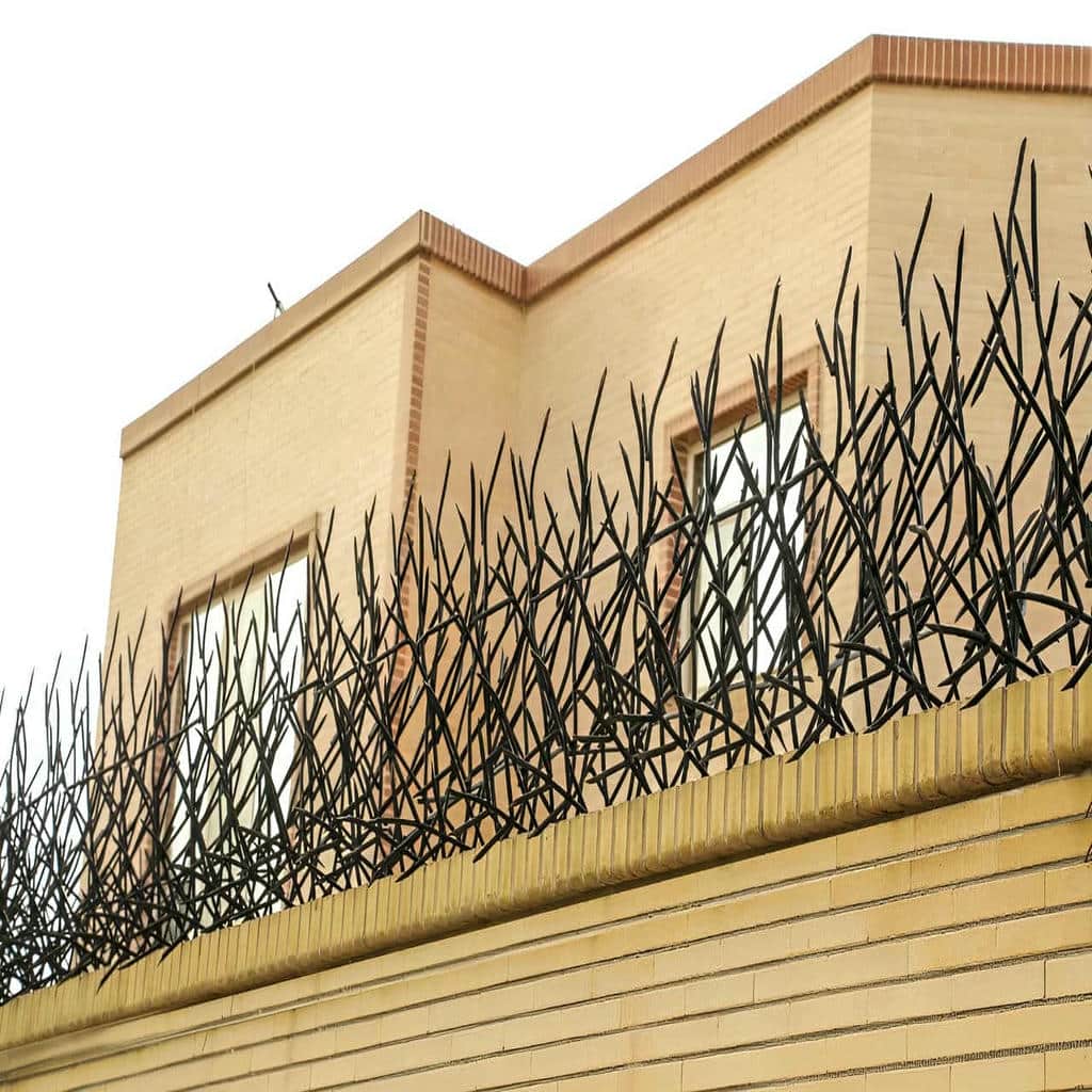 کارخانه حفاظ شاخ گوزنی دیوار سفارشی در فیروزکوه