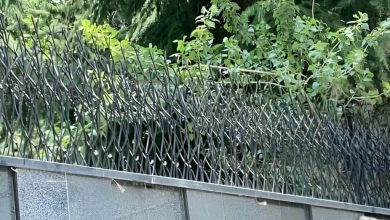 fence-wall-protection-deer-antler-spear-aob حفاظ شاخ گوزنی دیوار در سبزوار