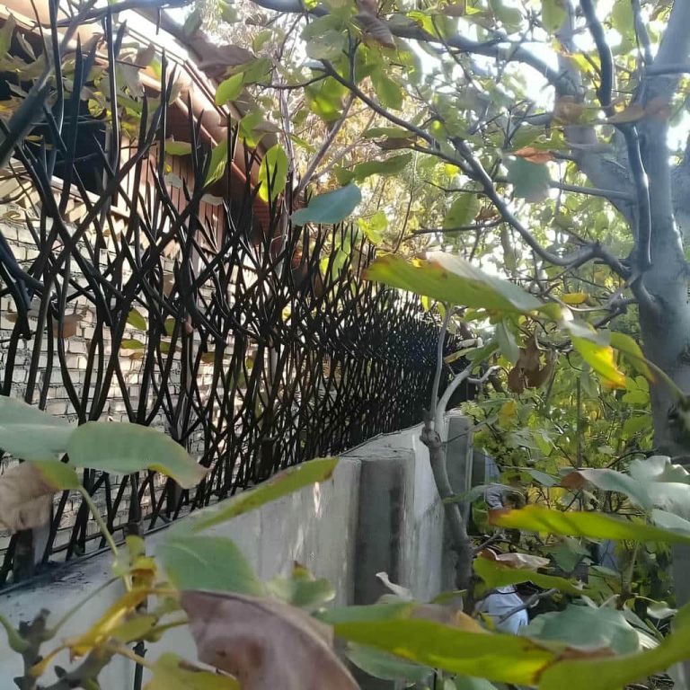 fence-wall-protection-deer-antler-spear-aoy حفاظ شاخ گوزنی دیوار در هشتگرد