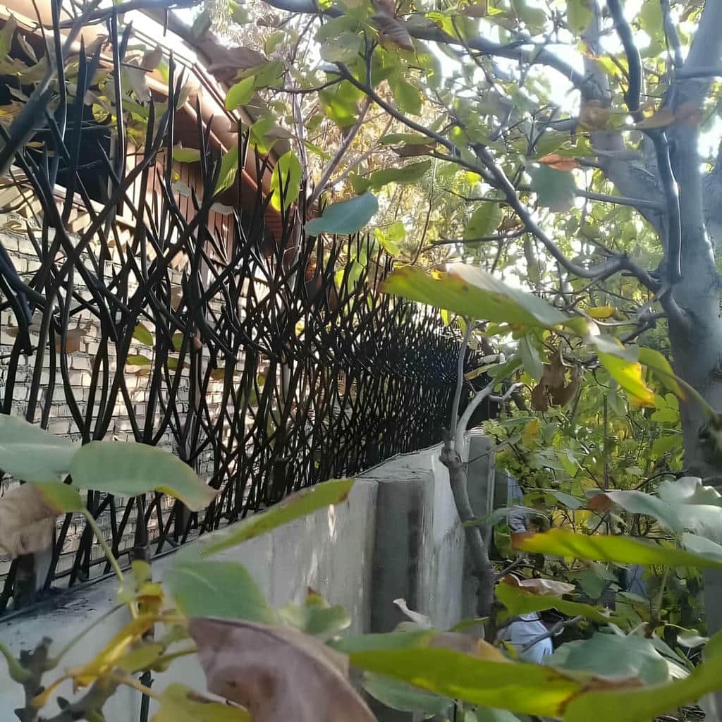 حفاظ شاخ گوزنی دیوار در هشتگرد