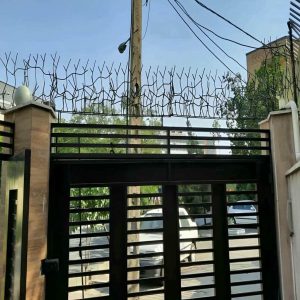 حفاظ شاخ گوزنی دیوار در فردیس کرج