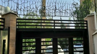 حفاظ شاخ گوزنی دیوار در فردیس کرج