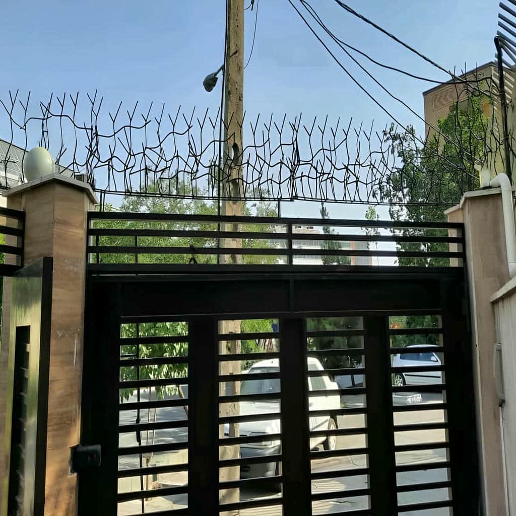 حفاظ شاخ گوزنی دیوار در فردیس کرج