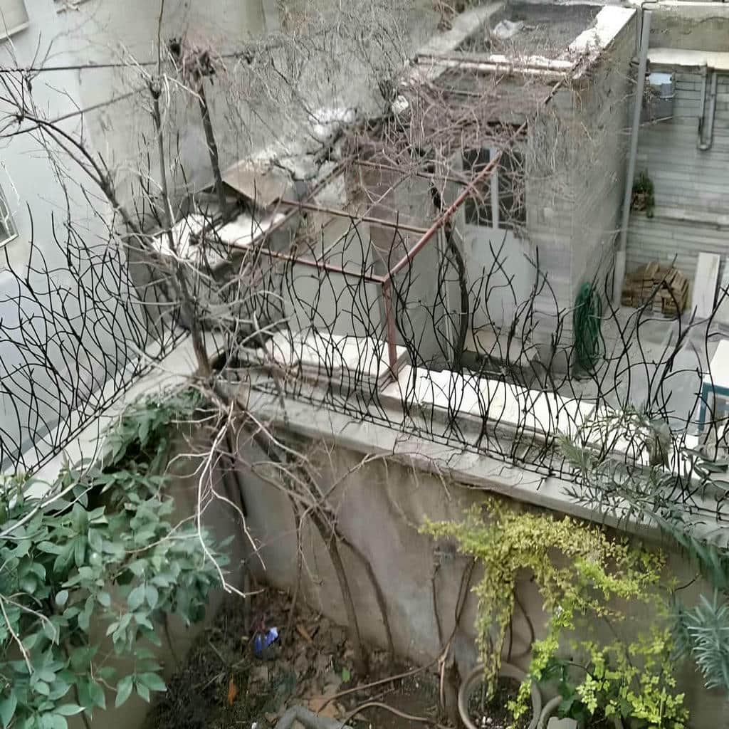 قیمت حفاظ شاخ گوزنی دیوار رنگ کوره ای در ایرانشهر