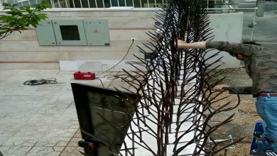 fence-wall-protection-deer-antler-spear-arv حفاظ شاخ گوزنی دیوار در زاهدان