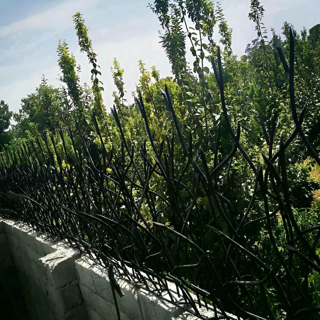 نصب حفاظ شاخ گوزنی دیوار استاندارد در کرمانشاه
