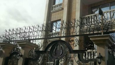 حفاظ شاخ گوزنی دیوار در عظیمیه کرج