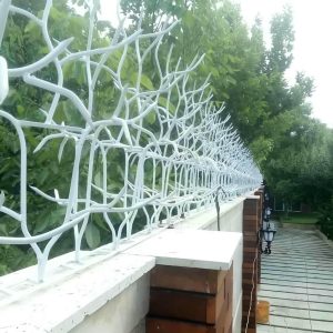 حفاظ شاخ گوزنی دیوار در رشت