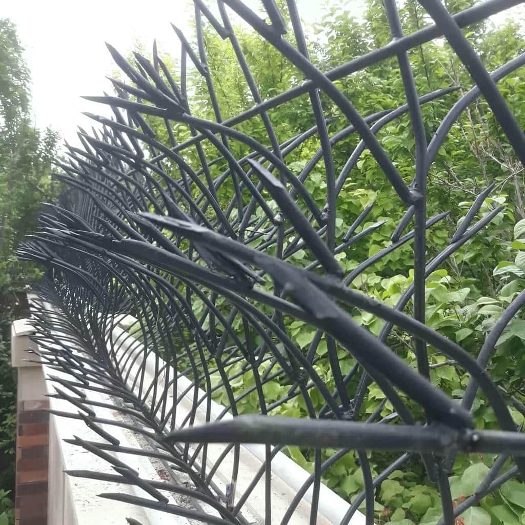 کارخانه حفاظ شاخ گوزنی دیوار سفارشی در بندر بوشهر