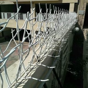 حفاظ شاخ گوزنی دیوار در قشم