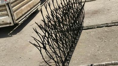 fence-wall-protection-deer-antler-spear-bs حفاظ شاخ گوزنی دیوار در چابهار