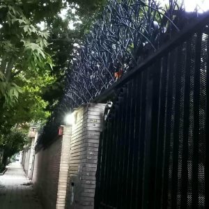 حفاظ شاخ گوزنی دیوار در رفسنجان
