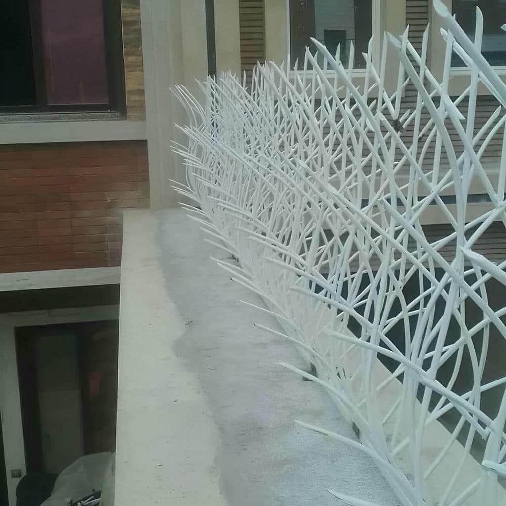 خرید حفاظ شاخ گوزنی دیوار مسکونی در چابهار