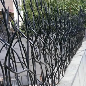 حفاظ شاخ گوزنی دیوار در محمدشهر