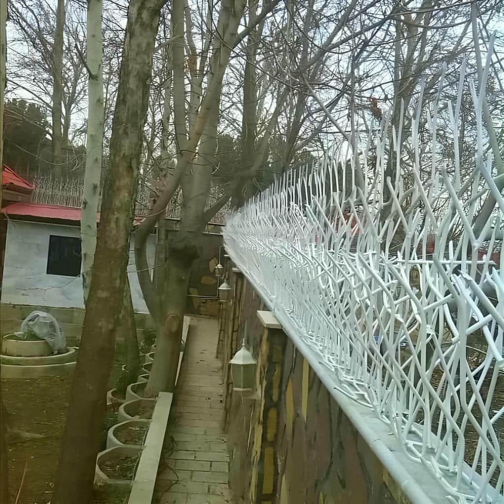 خرید حفاظ شاخ گوزنی دیوار ساختمان در استان گیلان