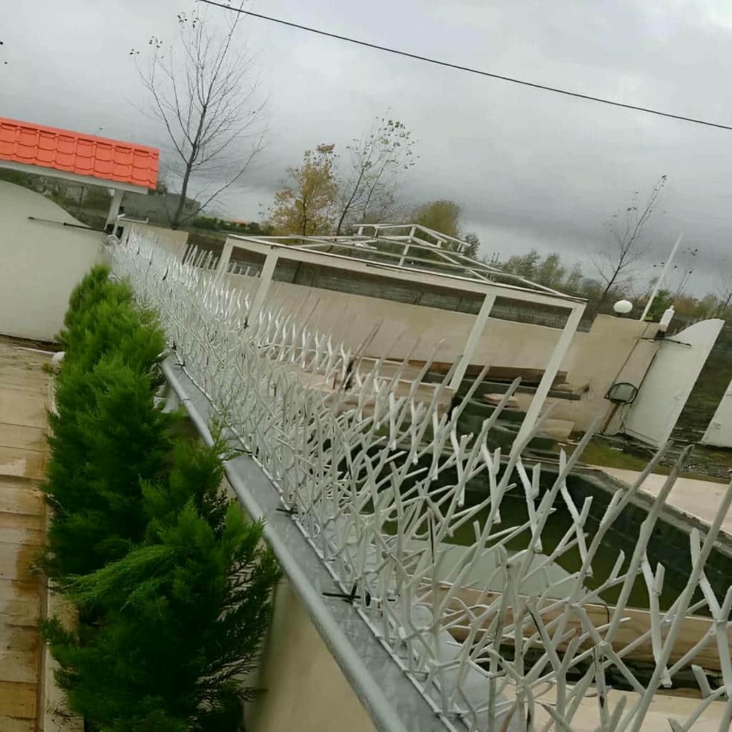 خرید حفاظ شاخ گوزنی دیوار حیاطی در رامسر