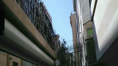 fence-wall-protection-deer-antler-spear-jr حفاظ شاخ گوزنی دیوار در یزد