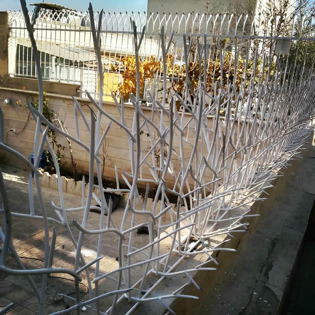 نصب حفاظ شاخ گوزنی دیوار ساختمان در بندر بوشهر