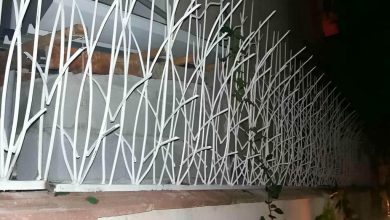 fence-wall-protection-deer-antler-spear-kq حفاظ شاخ گوزنی دیوار در کاشان