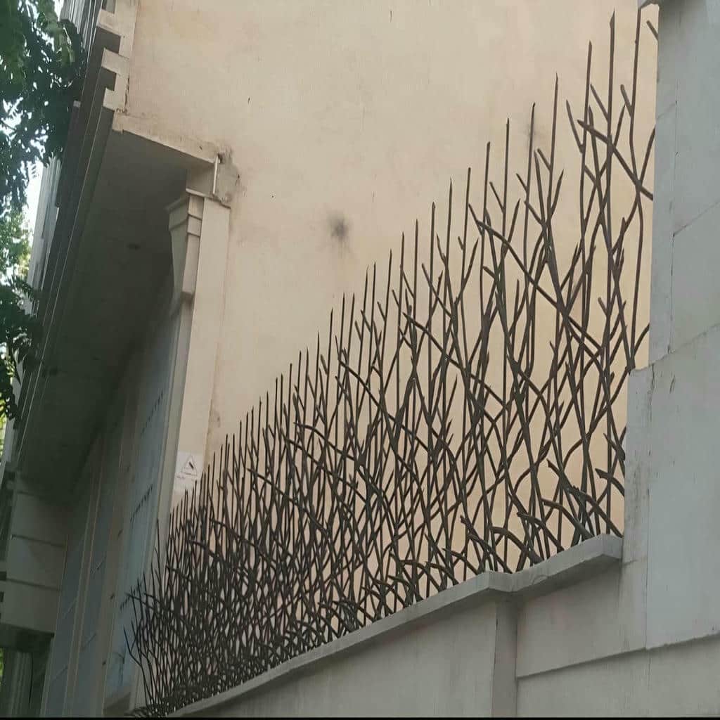 خرید حفاظ شاخ گوزنی دیوار کلاسیک در فیروزکوه