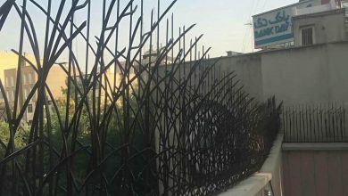 fence-wall-protection-deer-antler-spear-lk حفاظ شاخ گوزنی دیوار در تهران