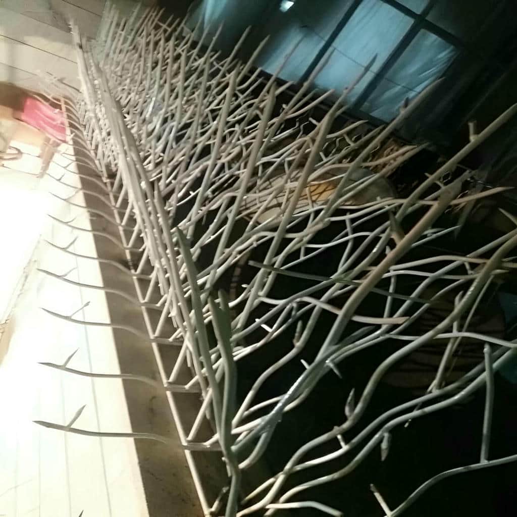 نصب حفاظ شاخ گوزنی دیوار استاندارد در آمل