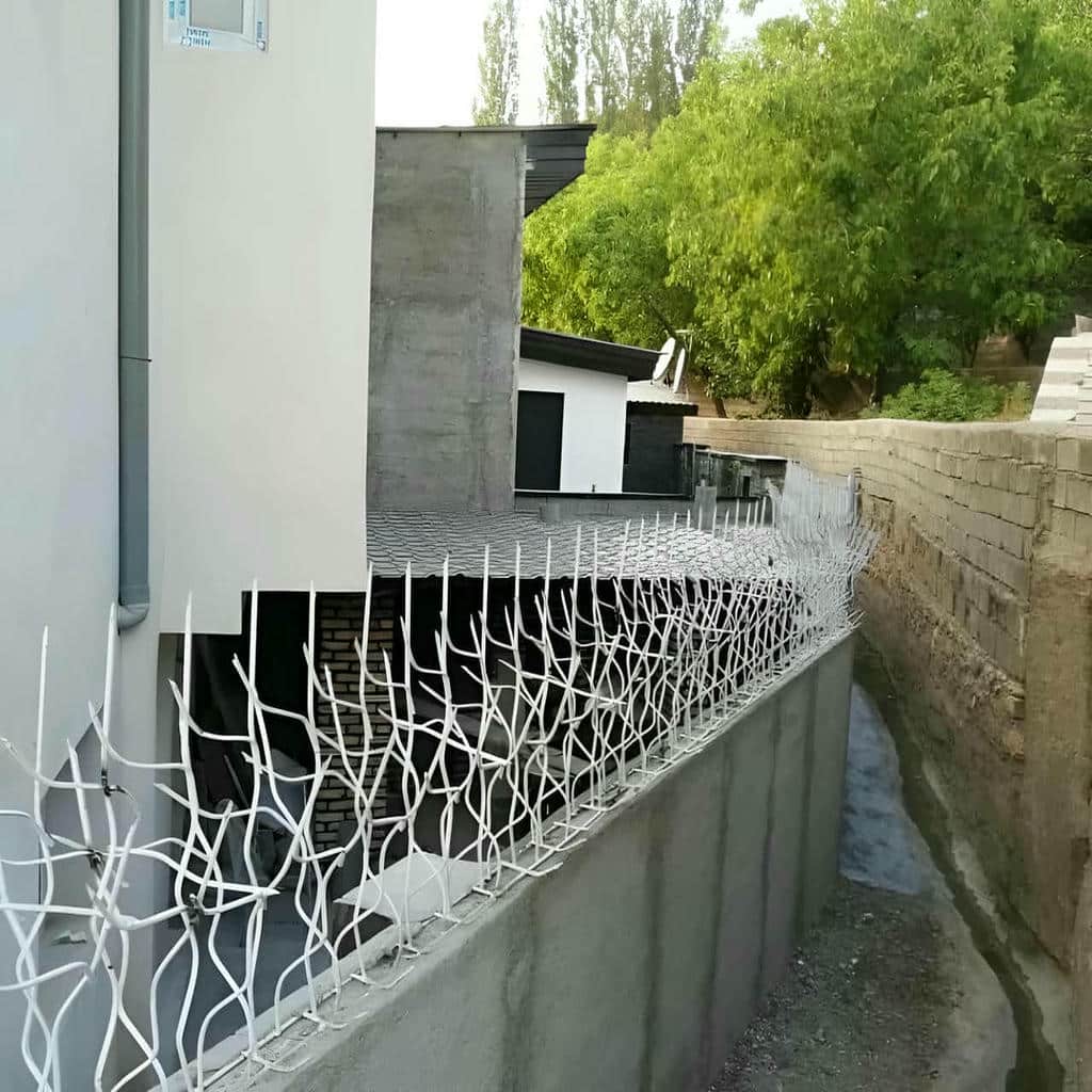 نصب حفاظ شاخ گوزنی دیوار ساختمان در بندر لنگه