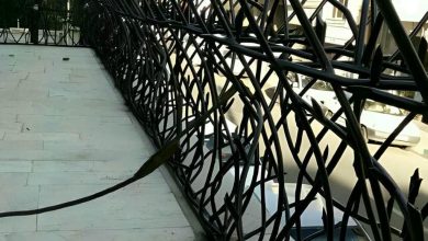 fence-wall-protection-deer-antler-spear-nt حفاظ شاخ گوزنی دیوار در کرج
