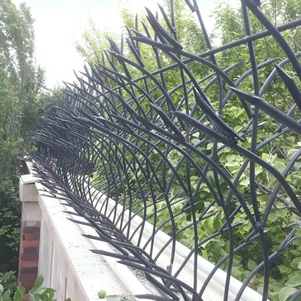 نصب حفاظ شاخ گوزنی دیوار مهاربندی دقیق در محمدشهر