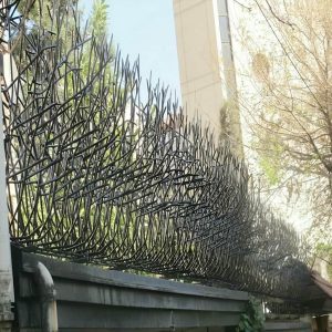 حفاظ شاخ گوزنی دیوار در گنبدکاووس
