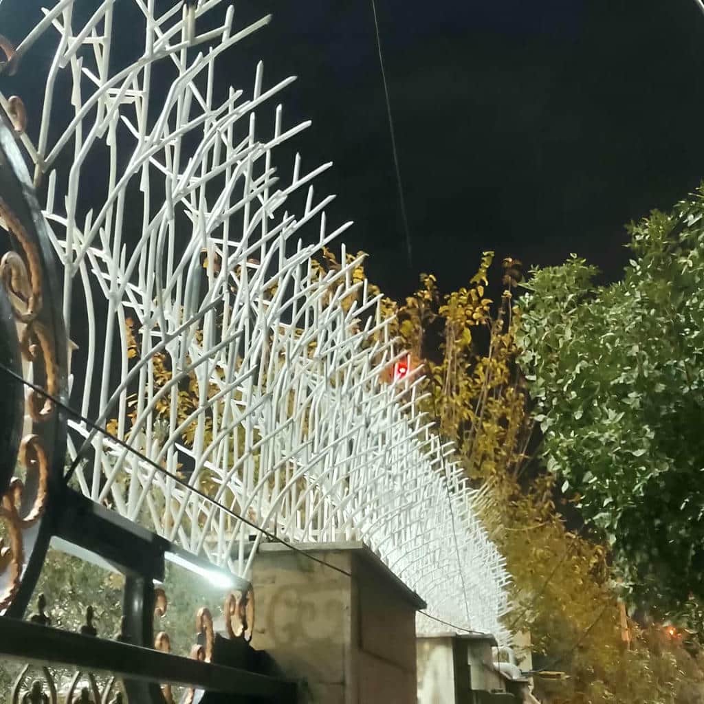 حفاظ شاخ گوزنی دیوار در سقز